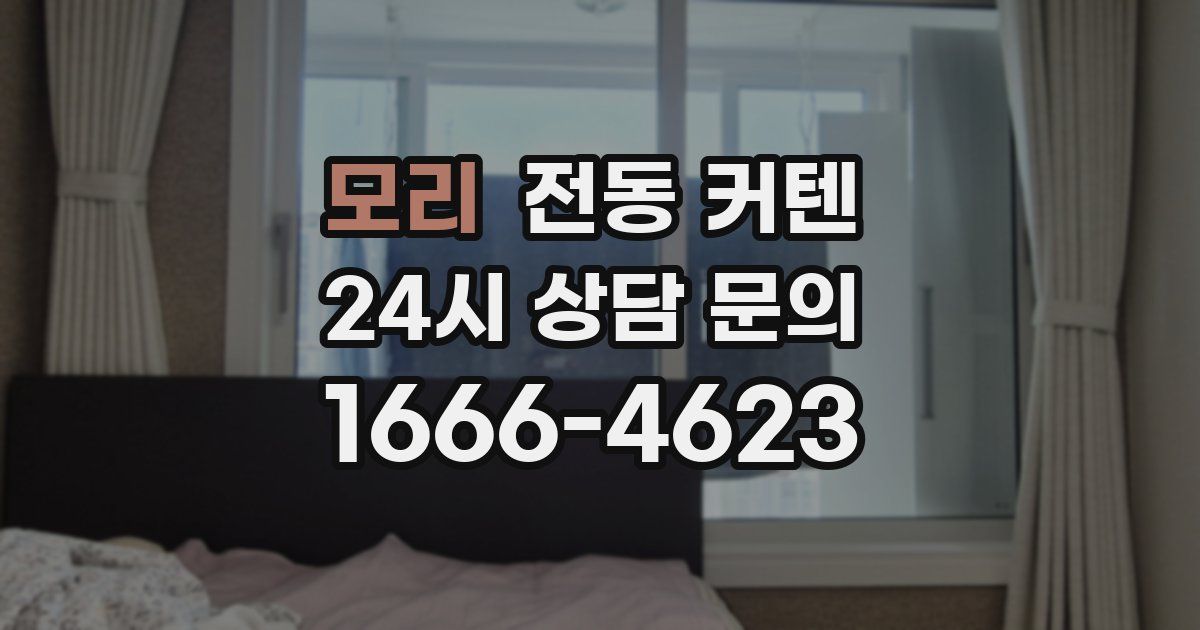 모리 전동 커텐