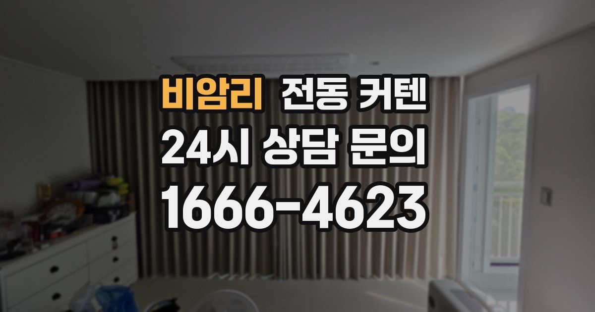비암리 전동 커텐
