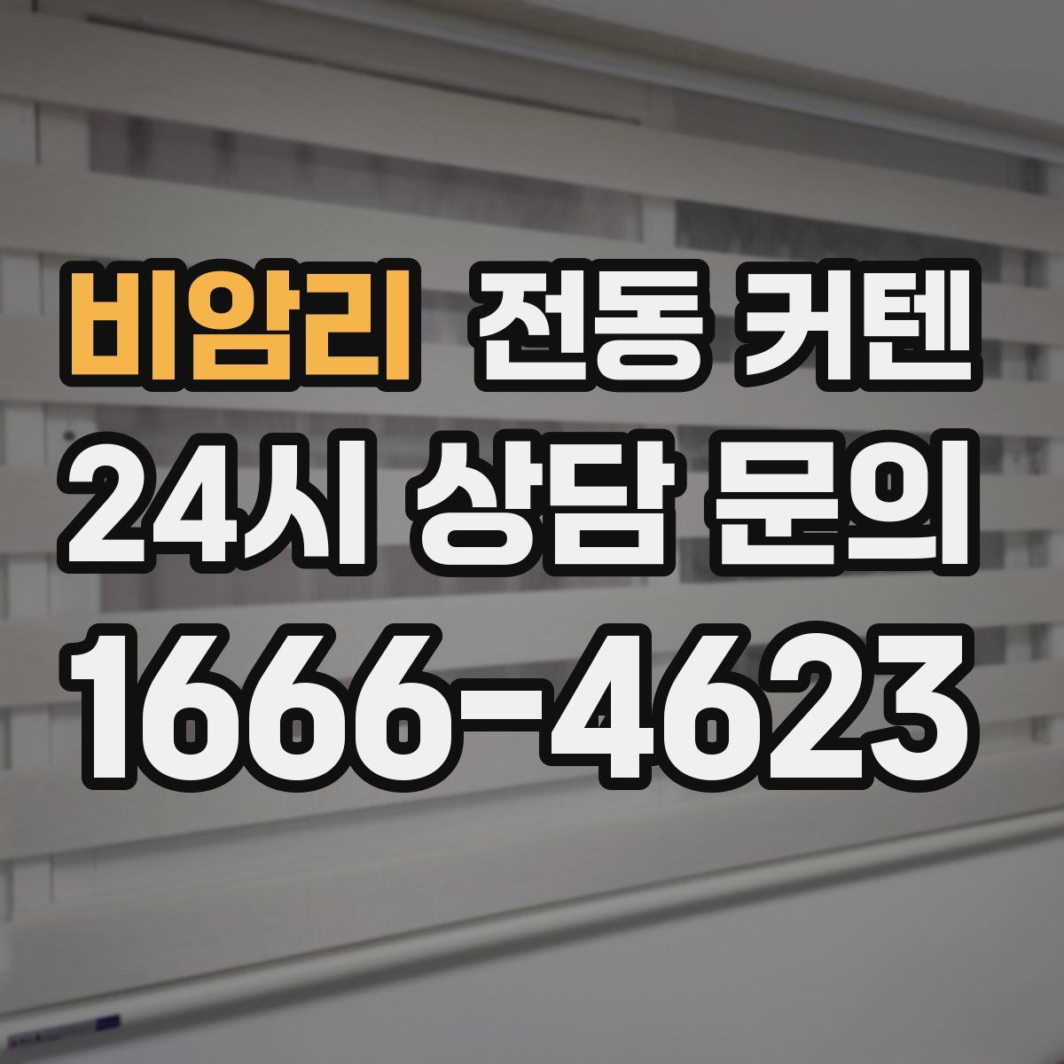 비암리 전동 커텐
