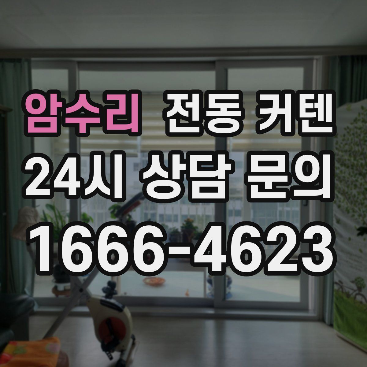 암수리 전동 커텐