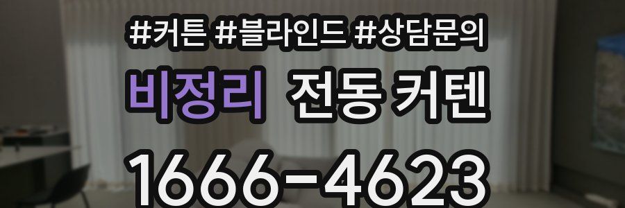 비정리 전동 커텐