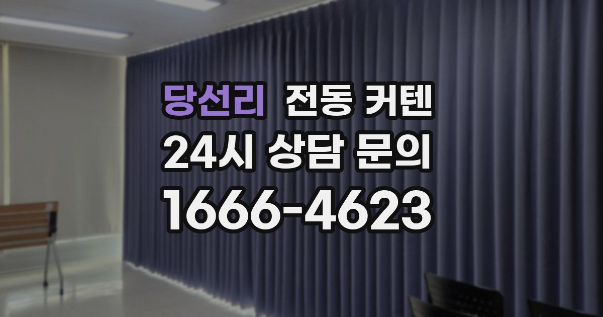 당선리 전동 커텐