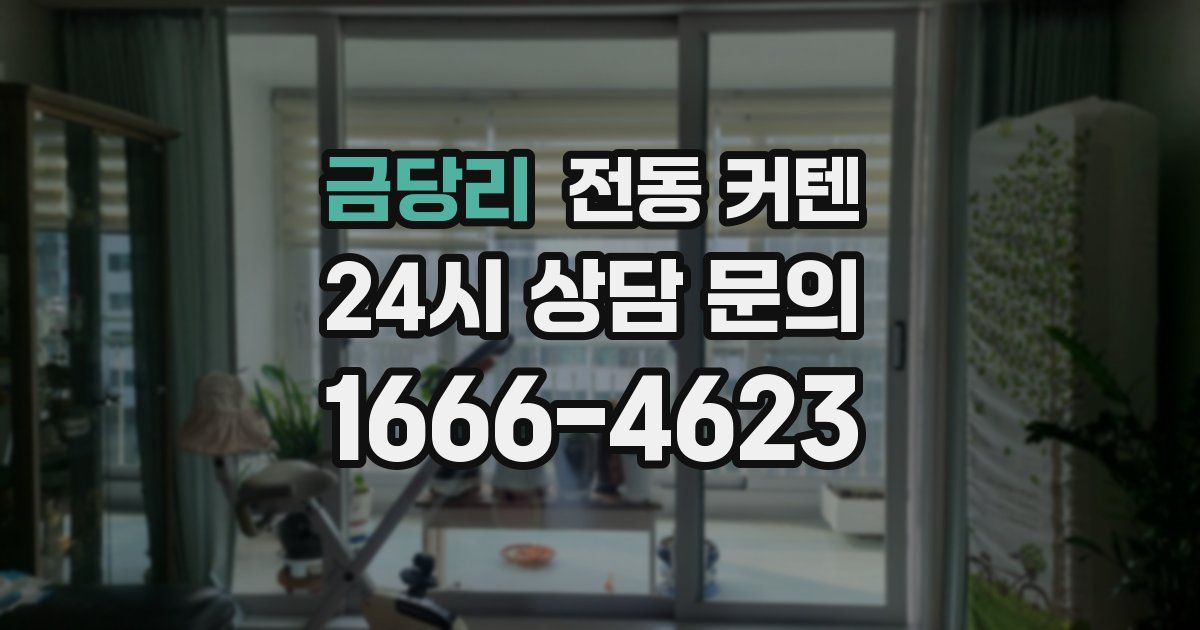금당리 전동 커텐