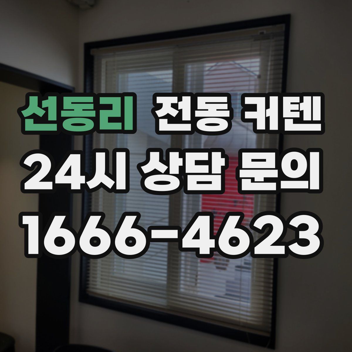 선동리 전동 커텐