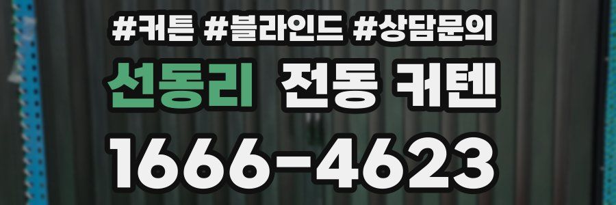 선동리 전동 커텐
