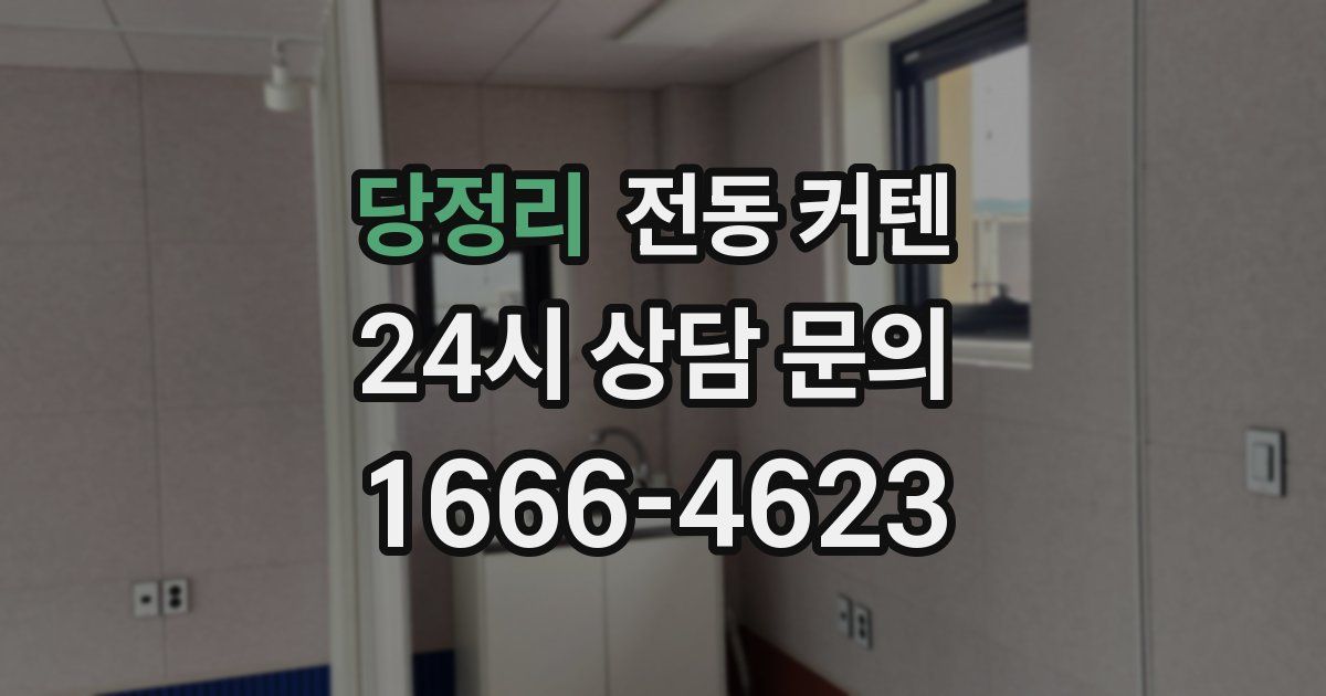 당정리 전동 커텐