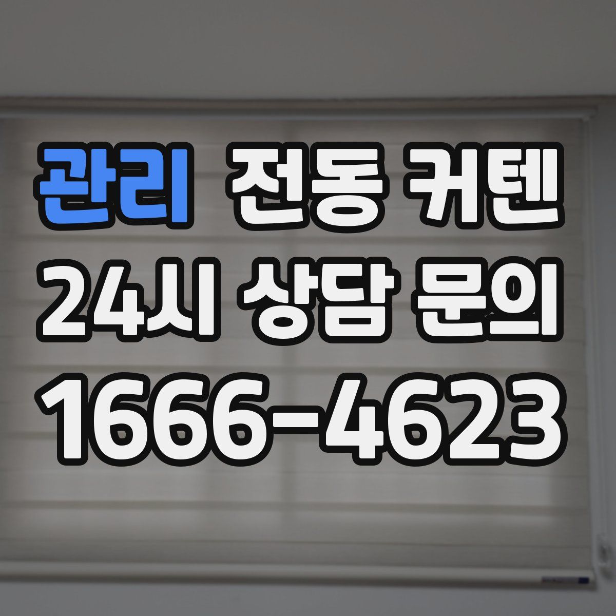 관리 전동 커텐