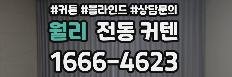 월리 전동 커텐