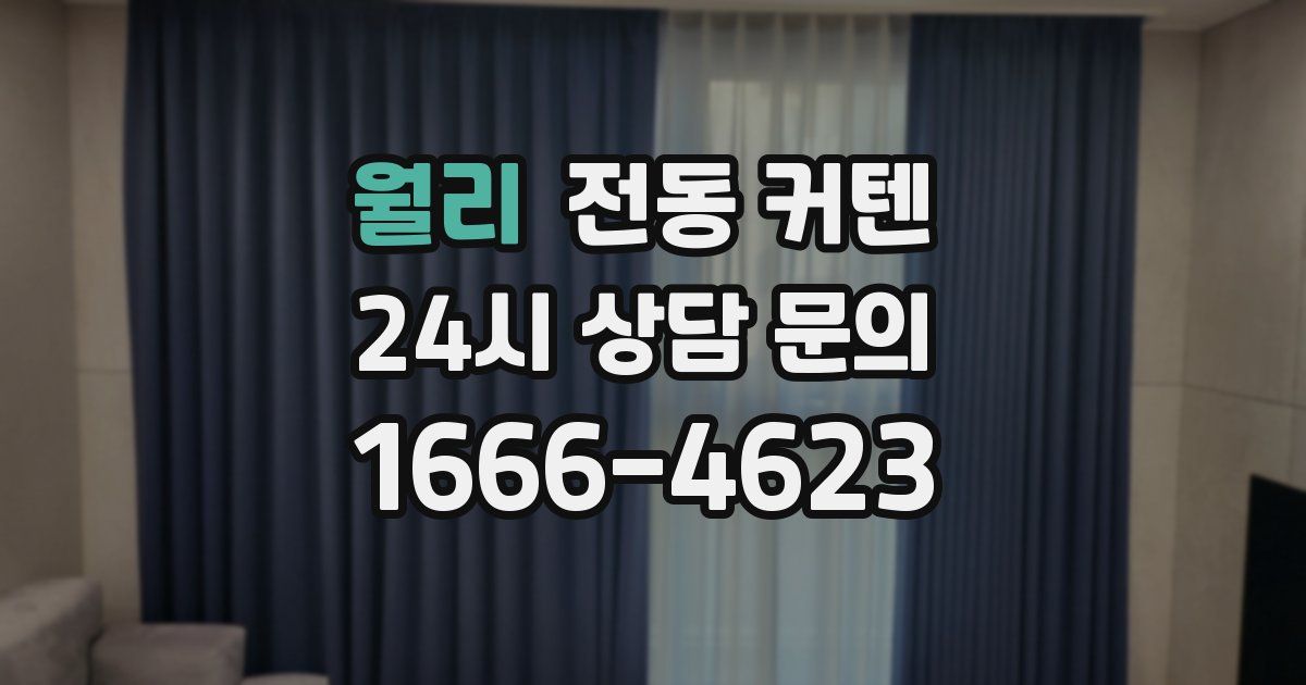 월리 전동 커텐