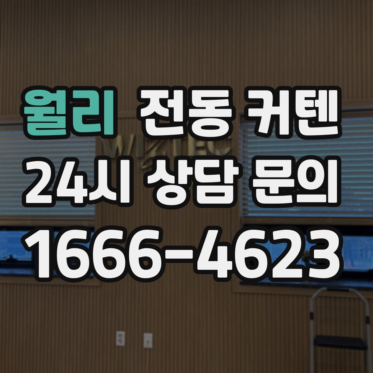 월리 전동 커텐
