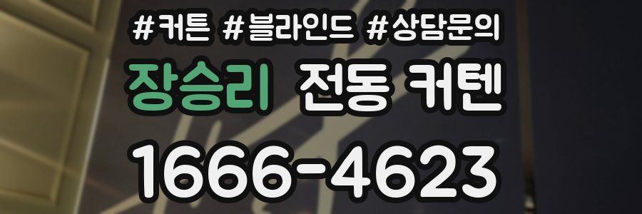 장승리 전동 커텐