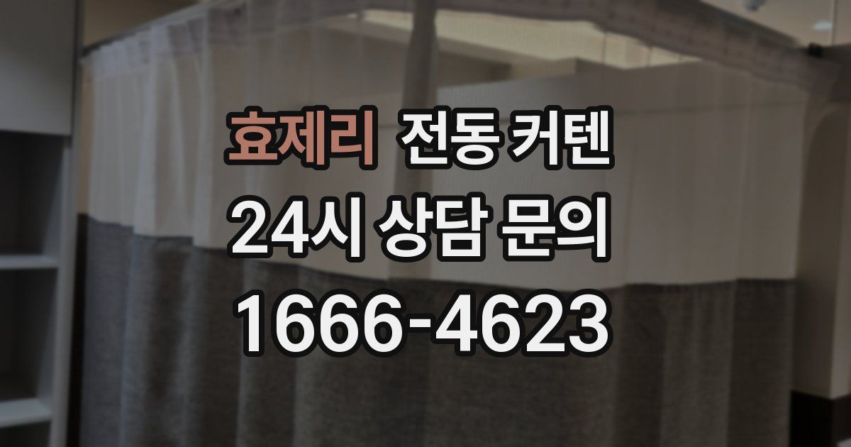 효제리 전동 커텐