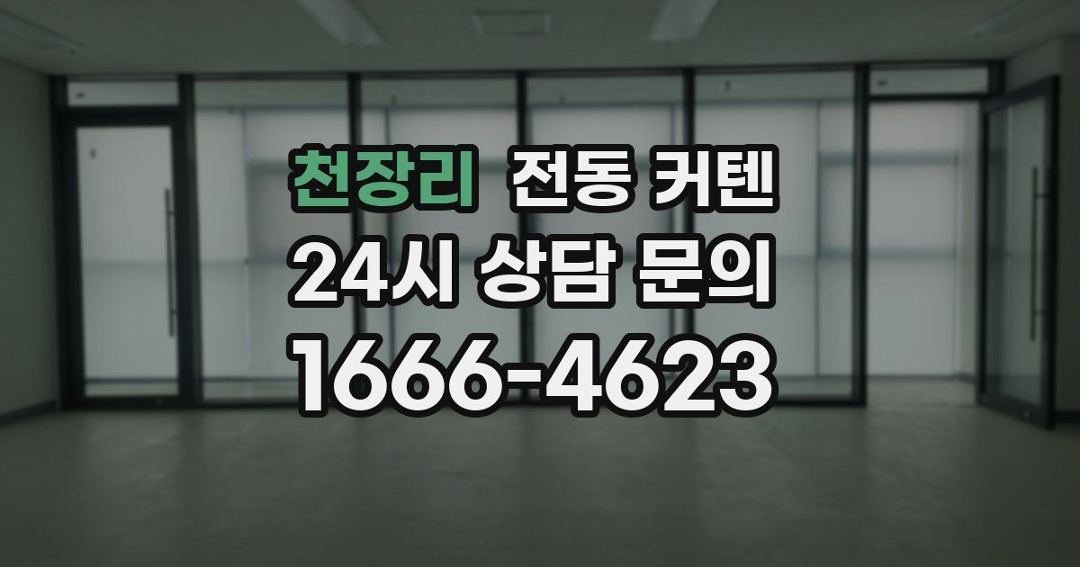 천장리 전동 커텐