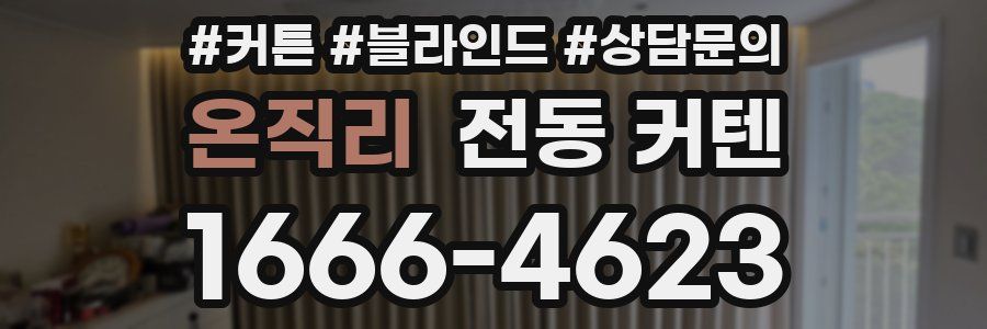 온직리 전동 커텐