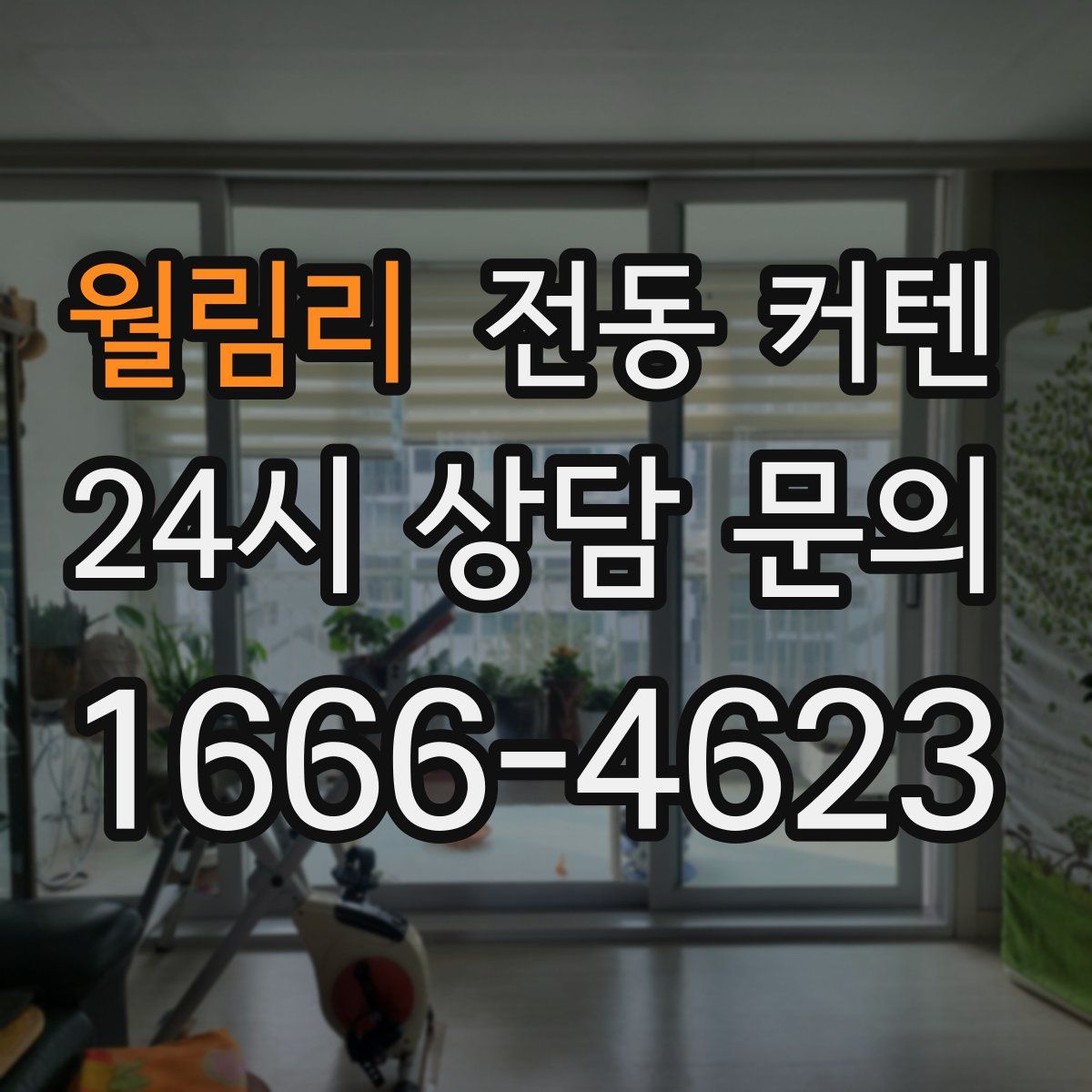 월림리 전동 커텐