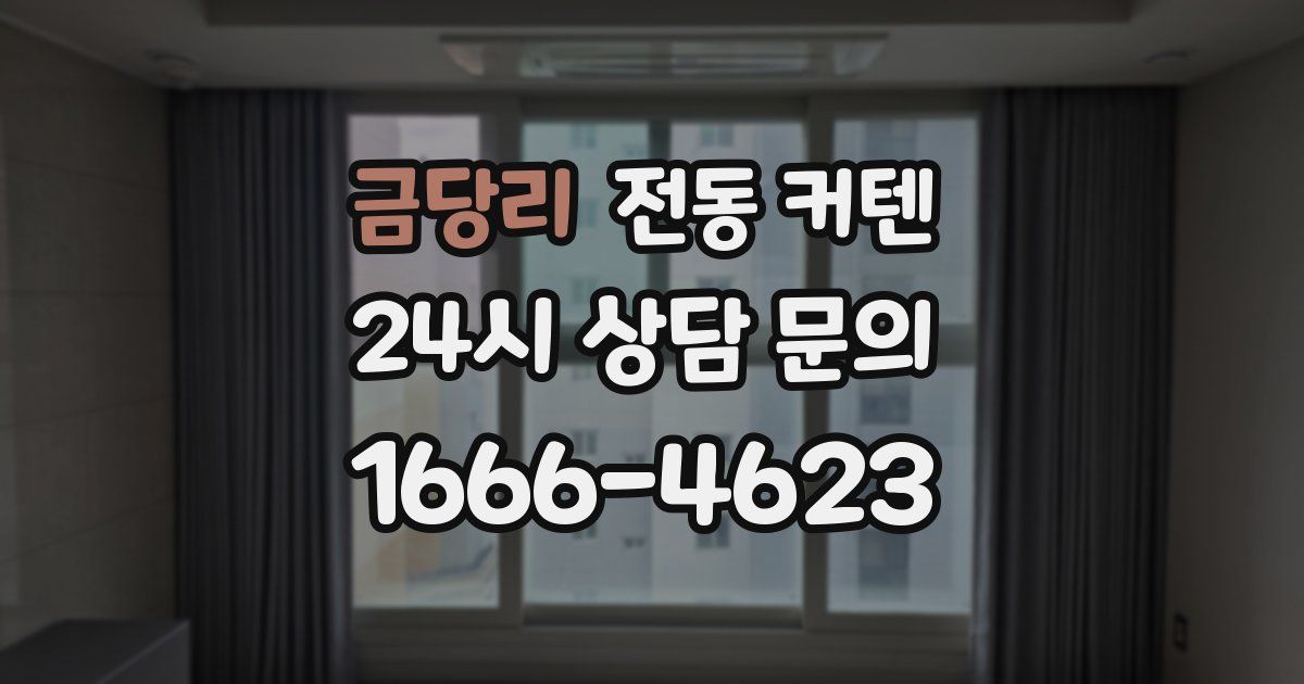 금당리 전동 커텐