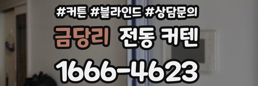 금당리 전동 커텐