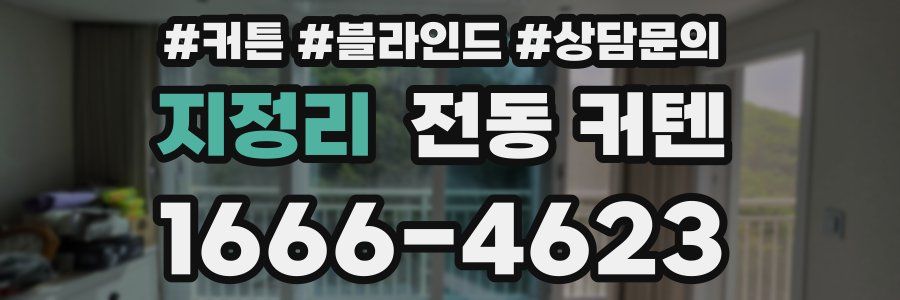 지정리 전동 커텐