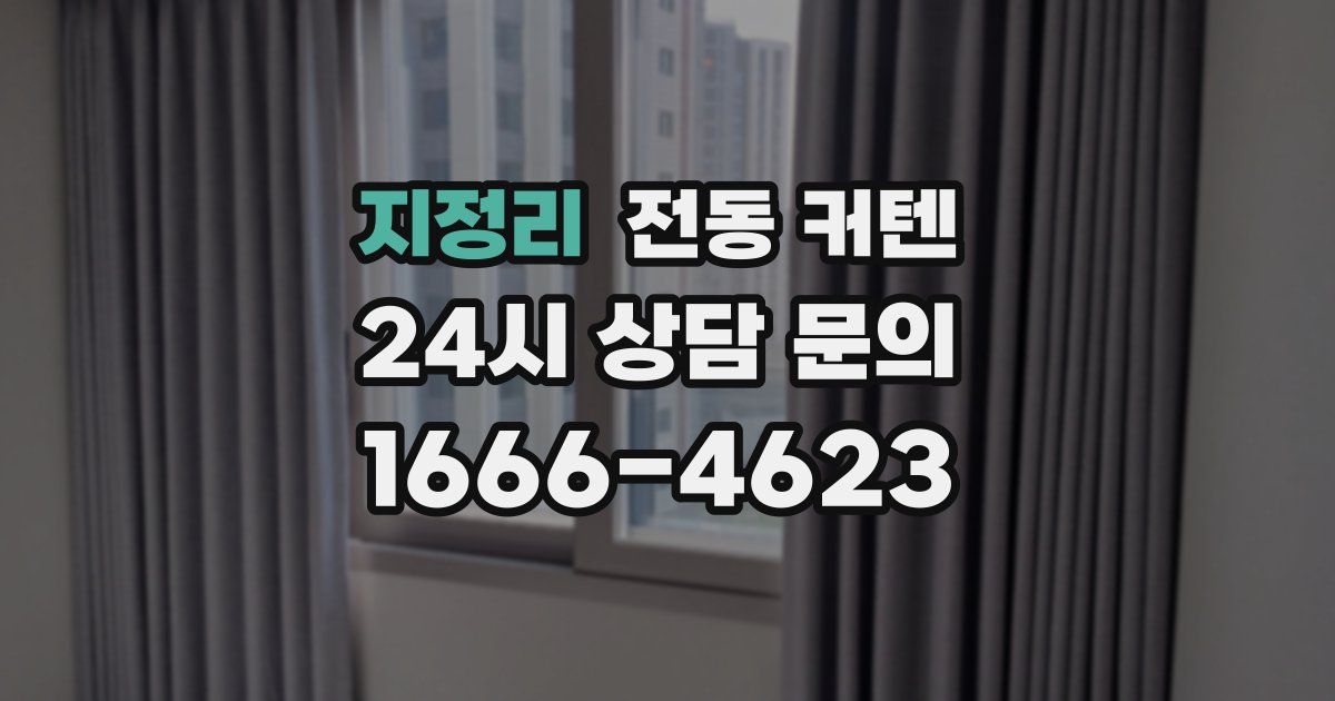 지정리 전동 커텐