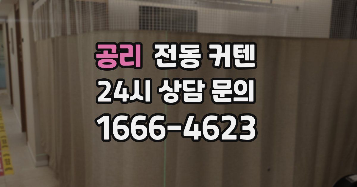 공리 전동 커텐