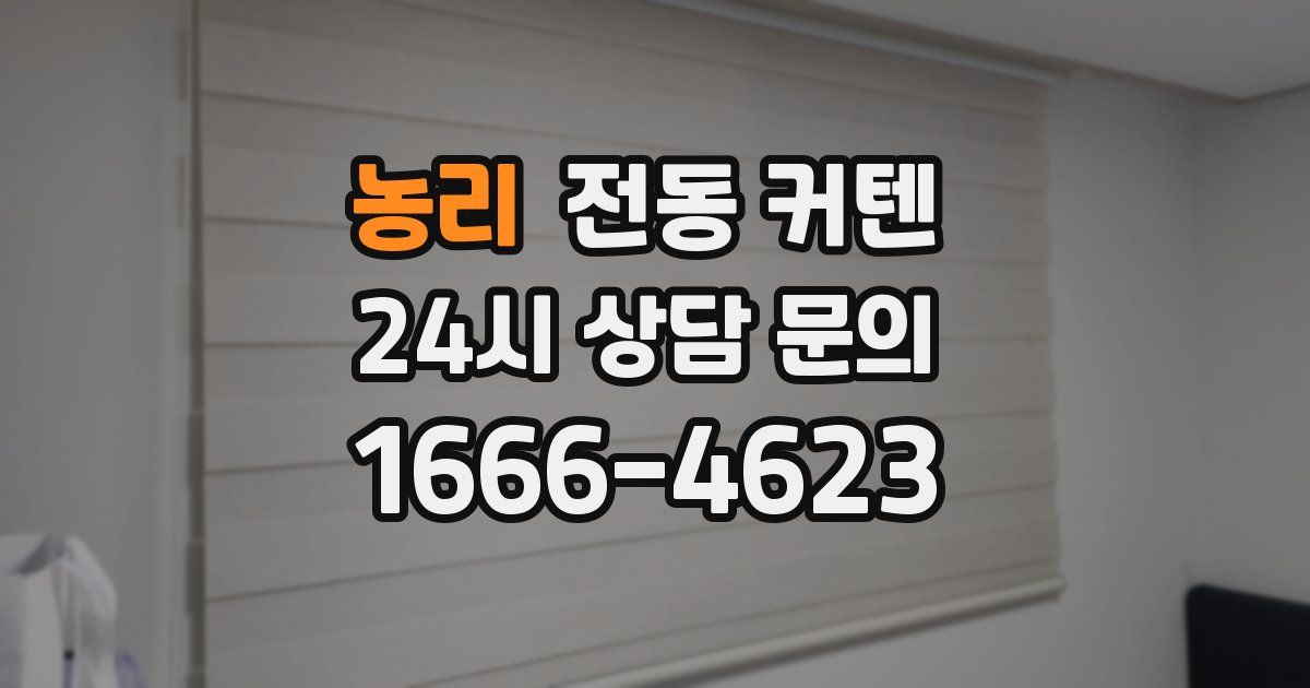 농리 전동 커텐