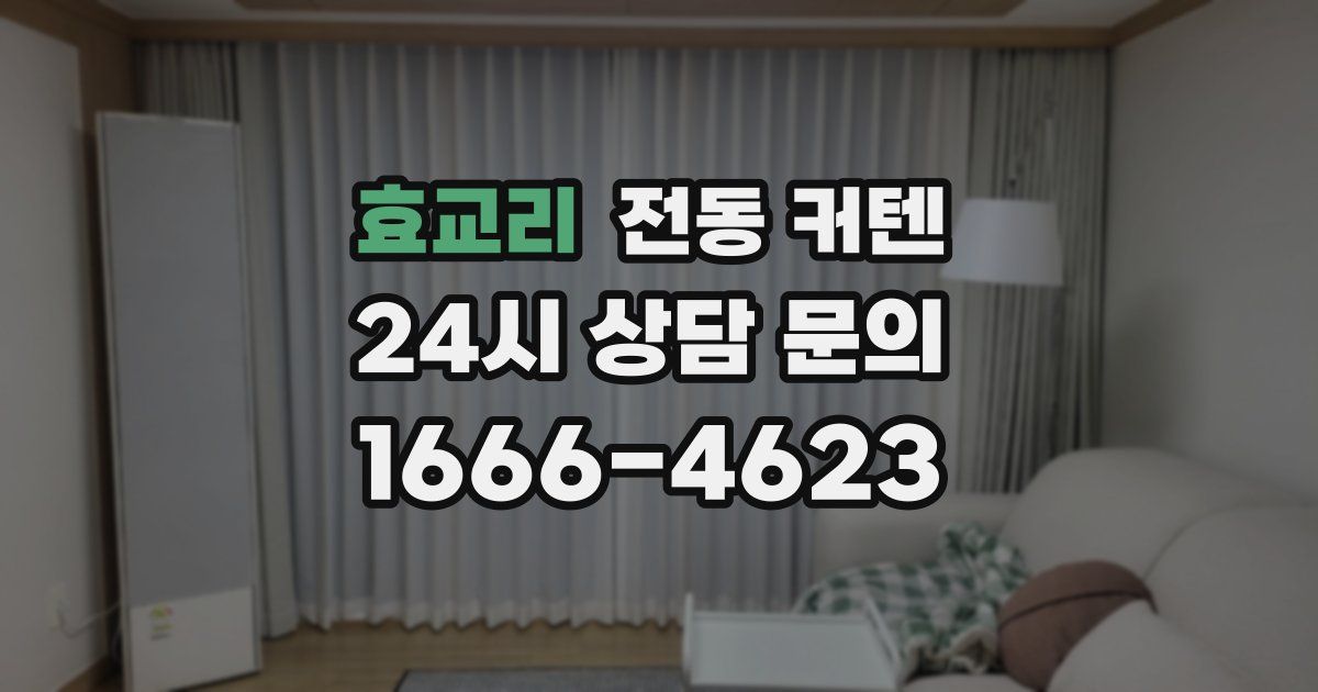 효교리 전동 커텐