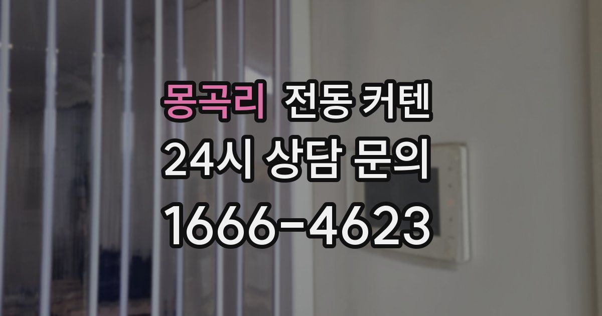 몽곡리 전동 커텐