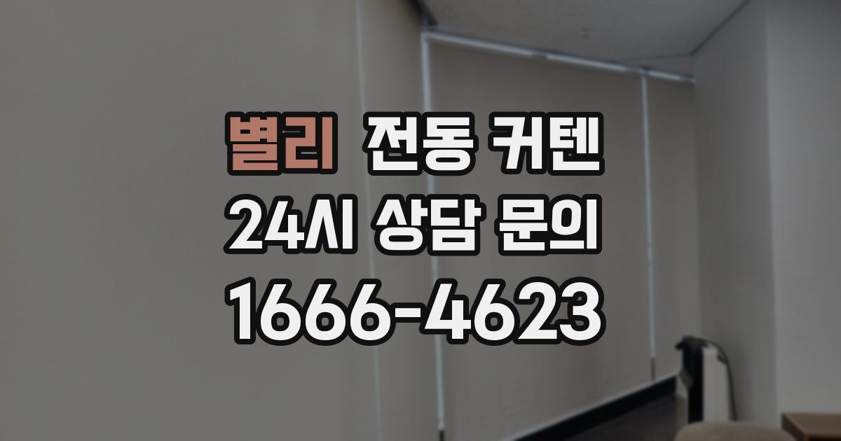 별리 전동 커텐