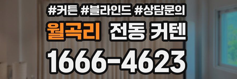 월곡리 전동 커텐