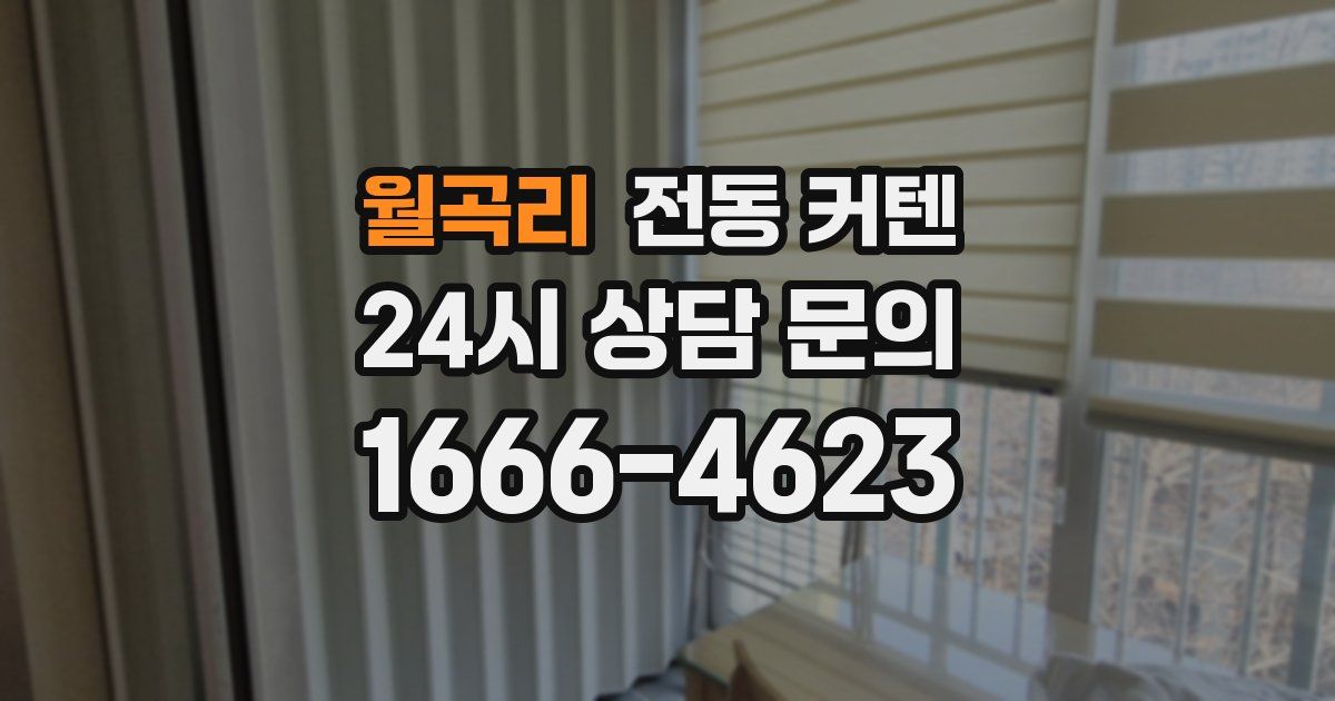 월곡리 전동 커텐