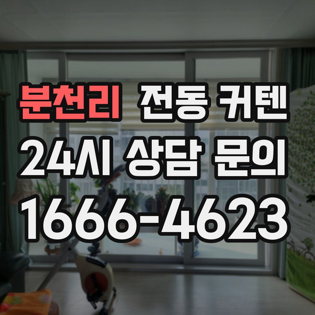 분천리 전동 커텐