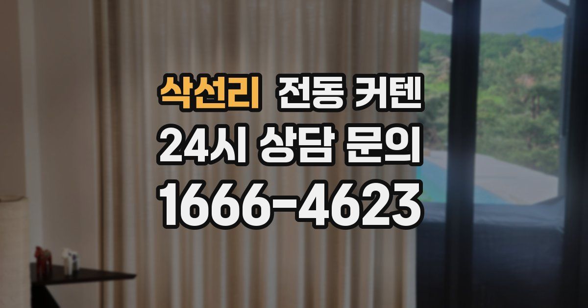 삭선리 전동 커텐