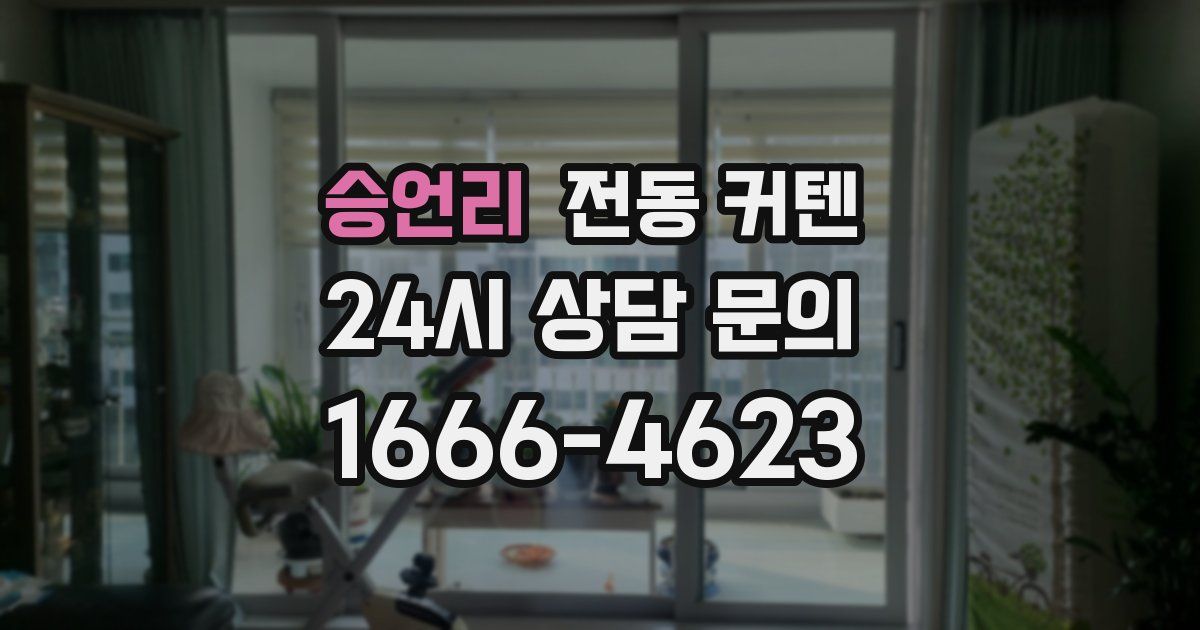 승언리 전동 커텐