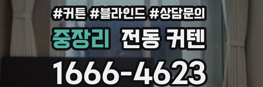중장리 전동 커텐