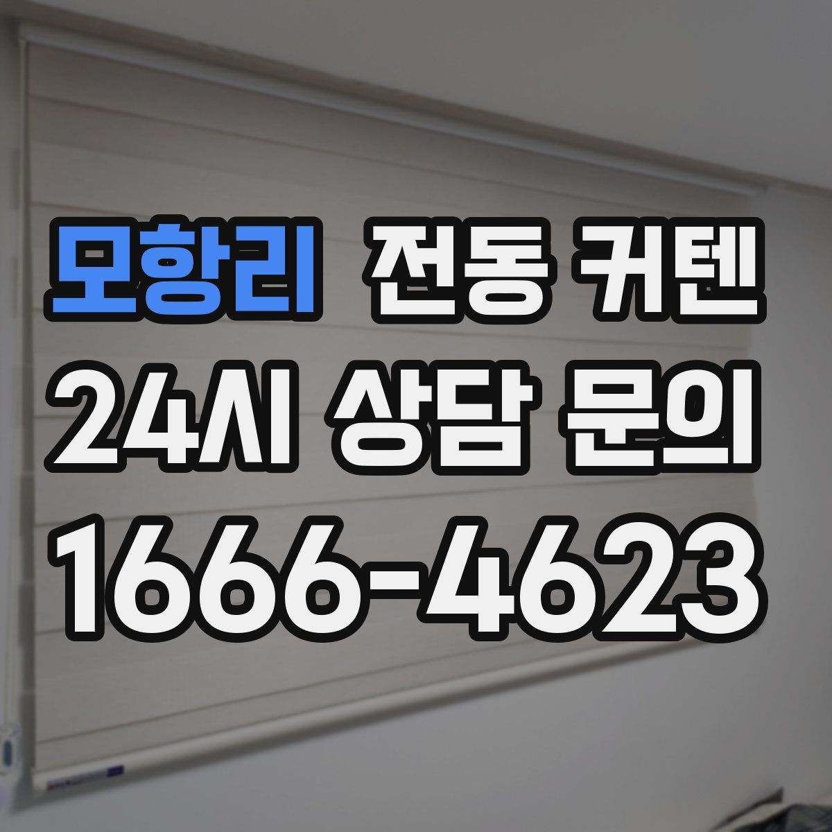 모항리 전동 커텐