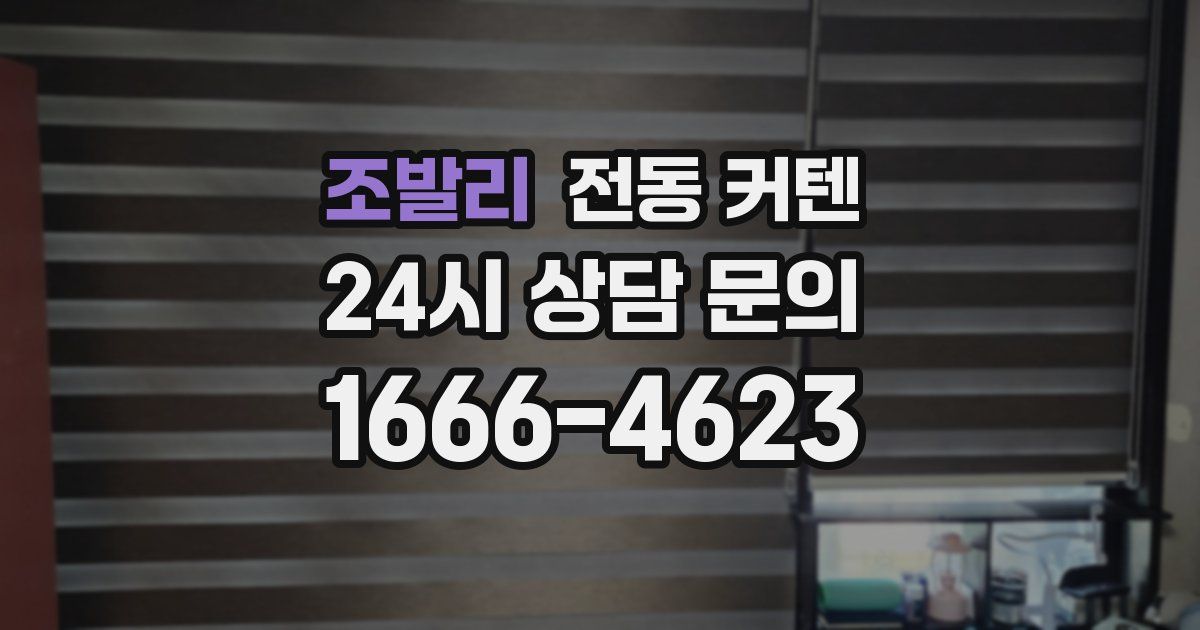 조발리 전동 커텐