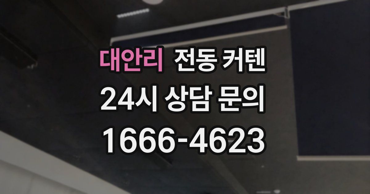 대안리 전동 커텐