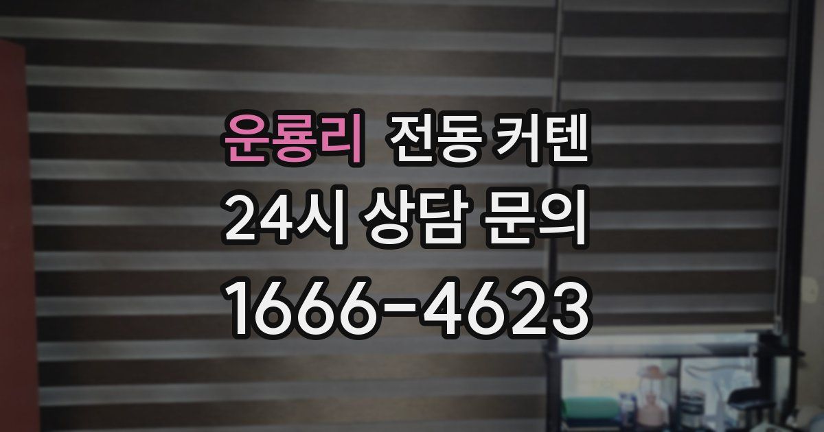 운룡리 전동 커텐