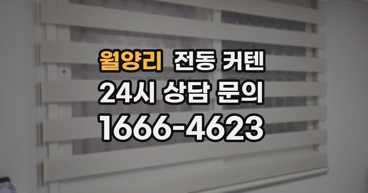 월양리 전동 커텐