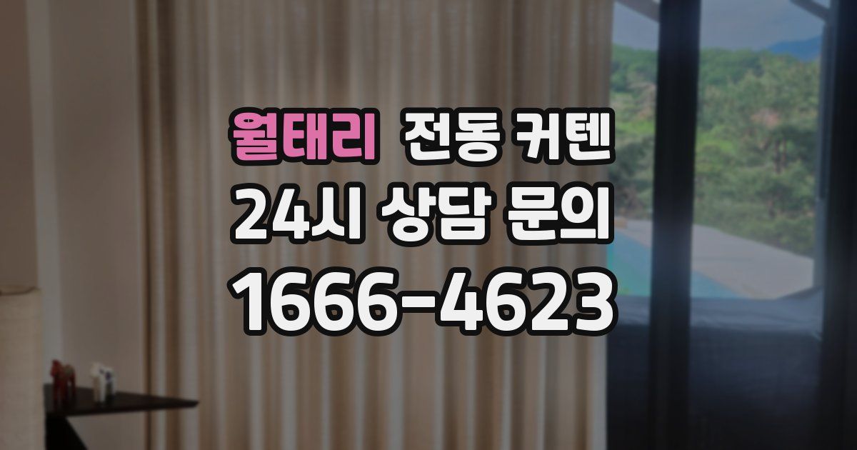 월태리 전동 커텐