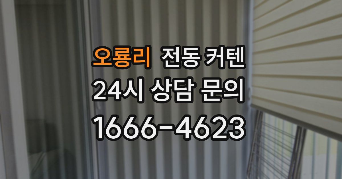 오룡리 전동 커텐