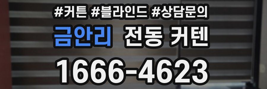 금안리 전동 커텐