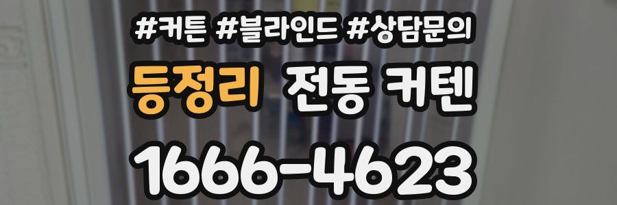 등정리 전동 커텐