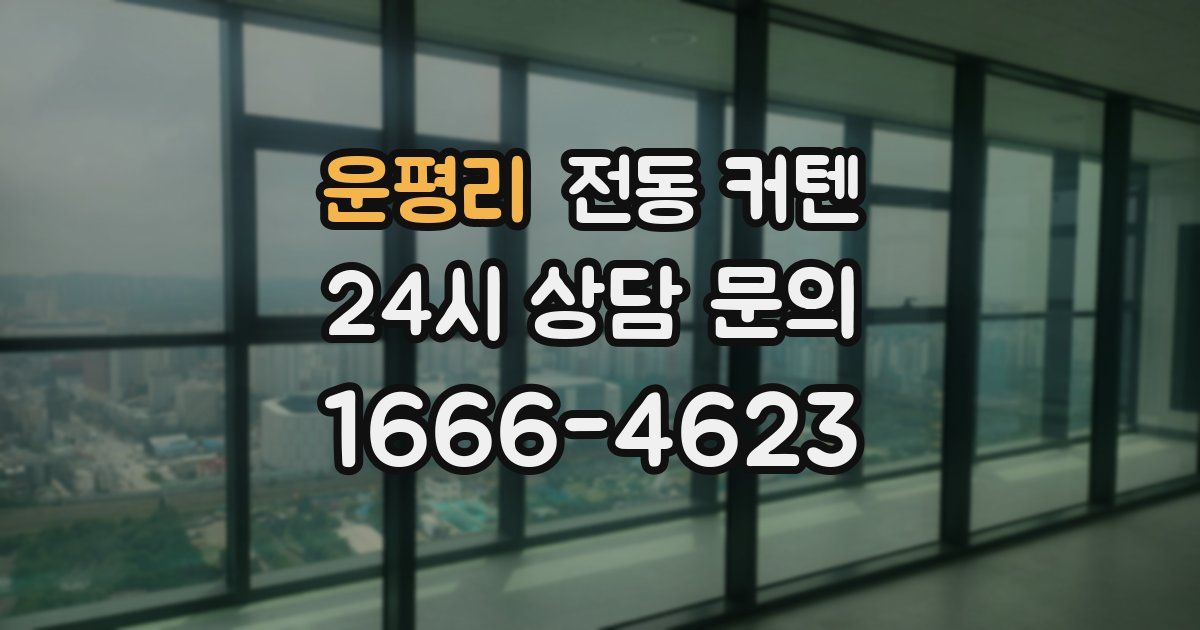 운평리 전동 커텐