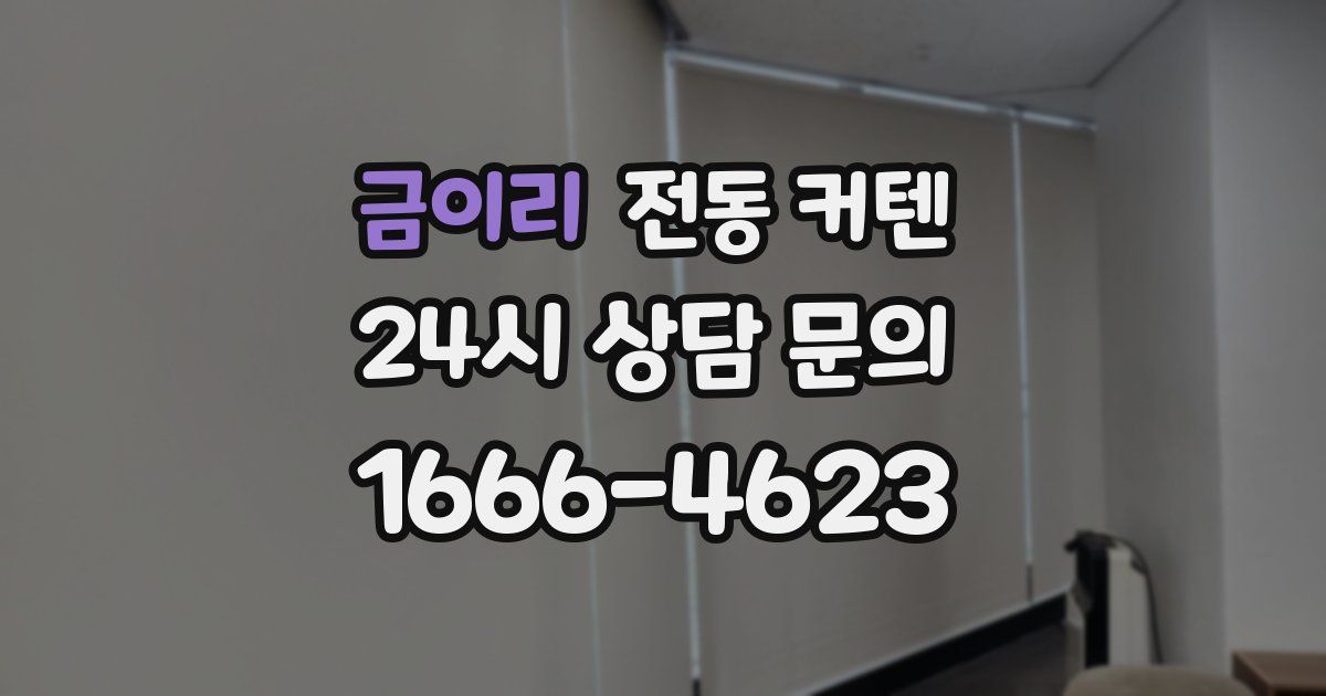 금이리 전동 커텐