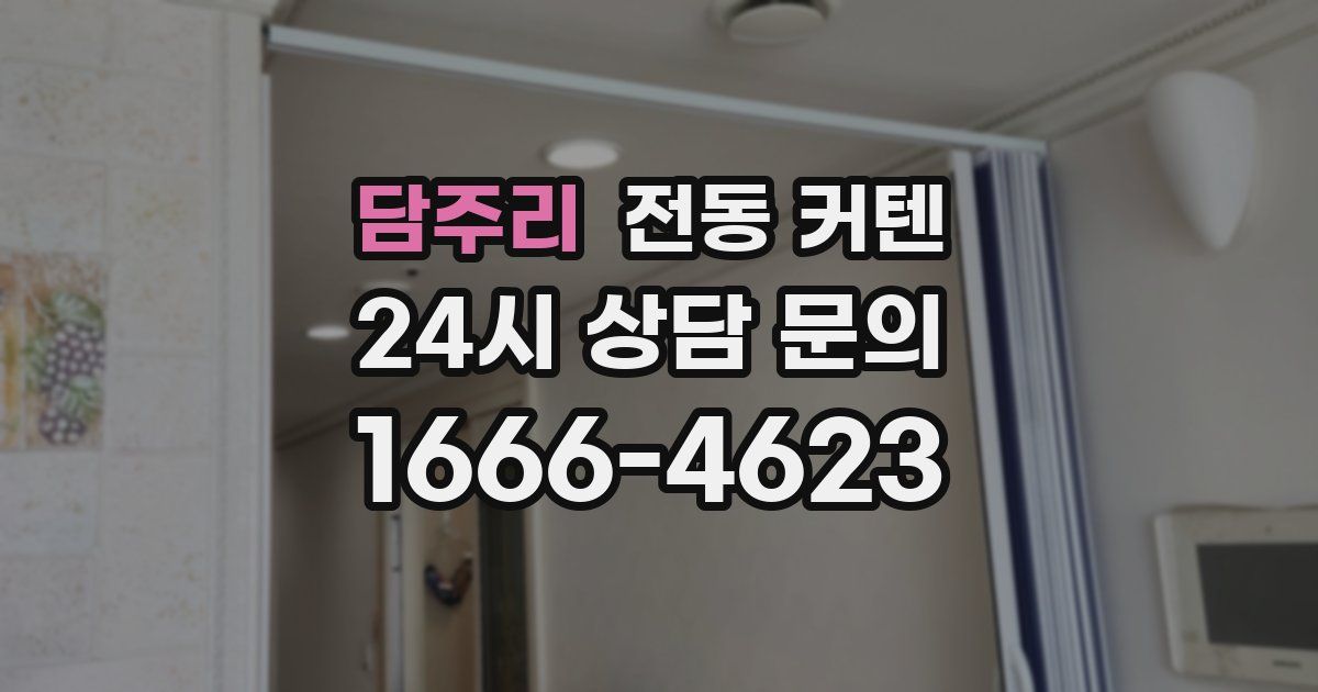 담주리 전동 커텐