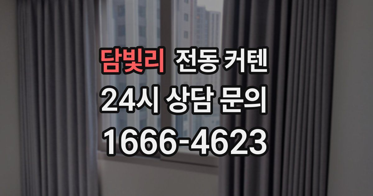 담빛리 전동 커텐