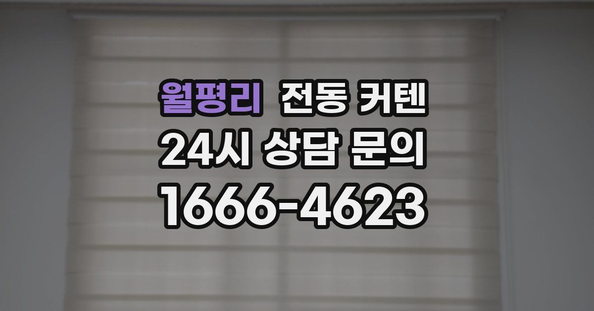 월평리 전동 커텐