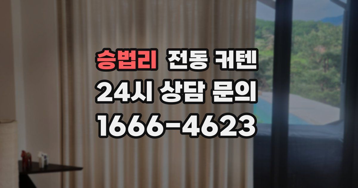 승법리 전동 커텐