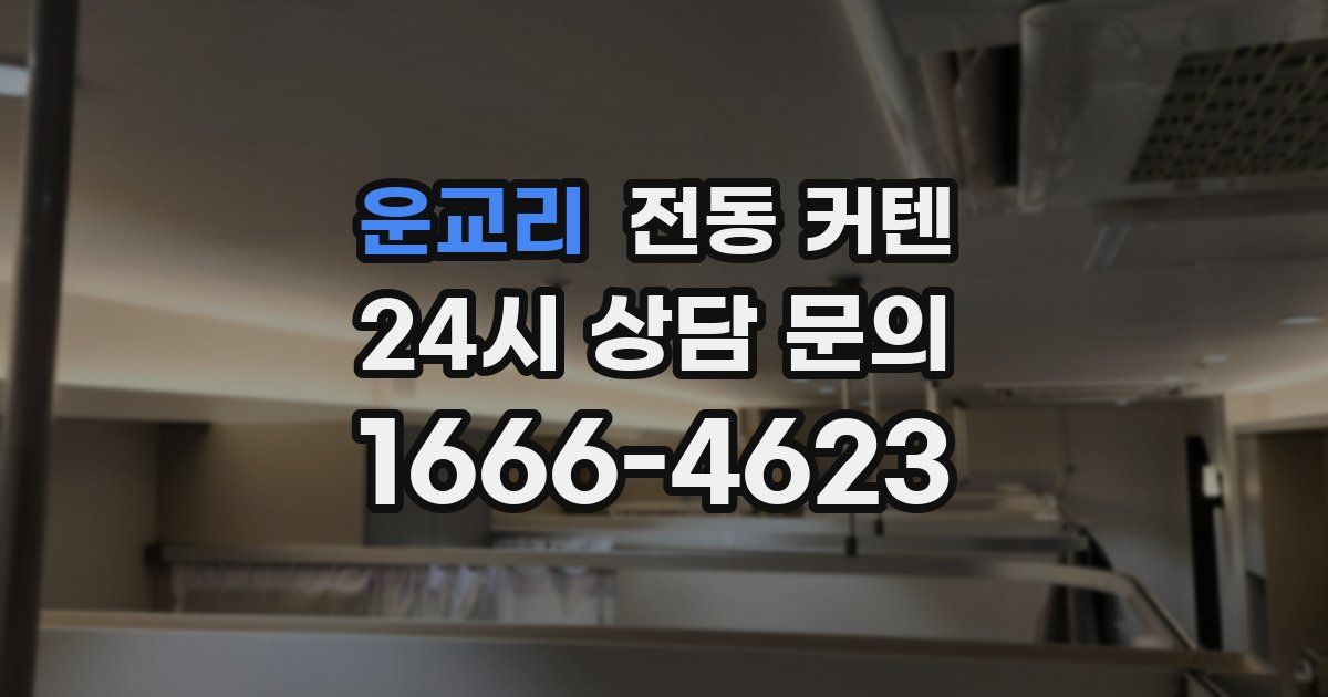 운교리 전동 커텐